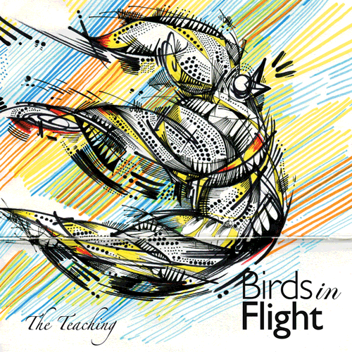 The Teaching - Birds In Flight