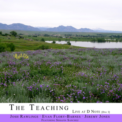 The Teaching - Live At The D Note