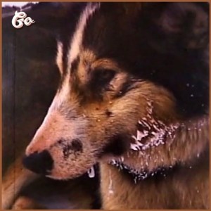 Album cover for the recording, "Patrick Lee: Go".