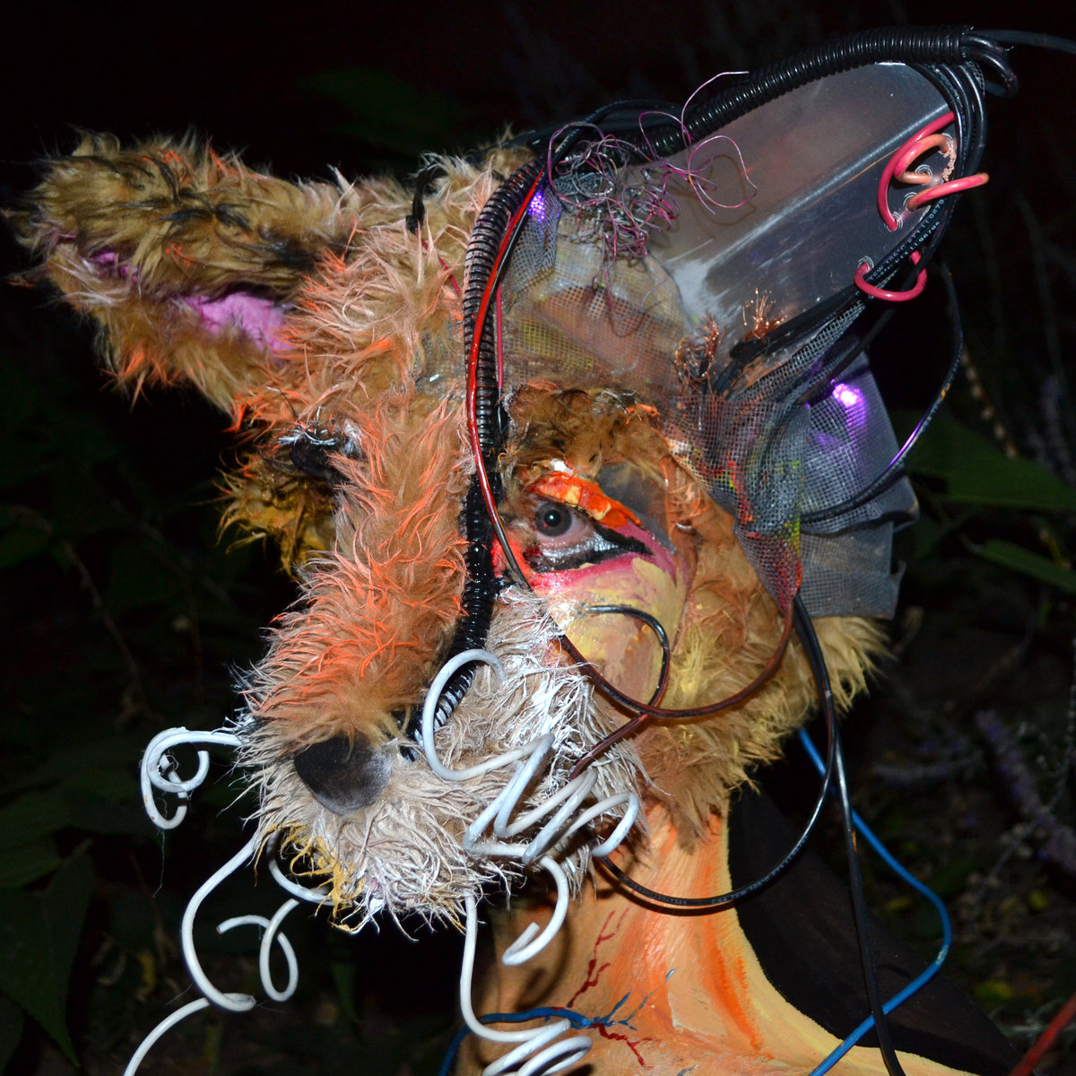 Night Grinder - Animus