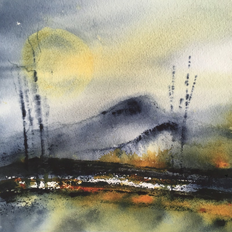 Album cover for the recording, "The Moonlit Wild: In The Company Of Stars".